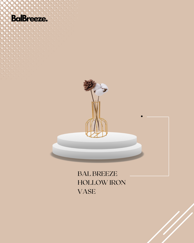 BalBreeze Hollow Iron Vase