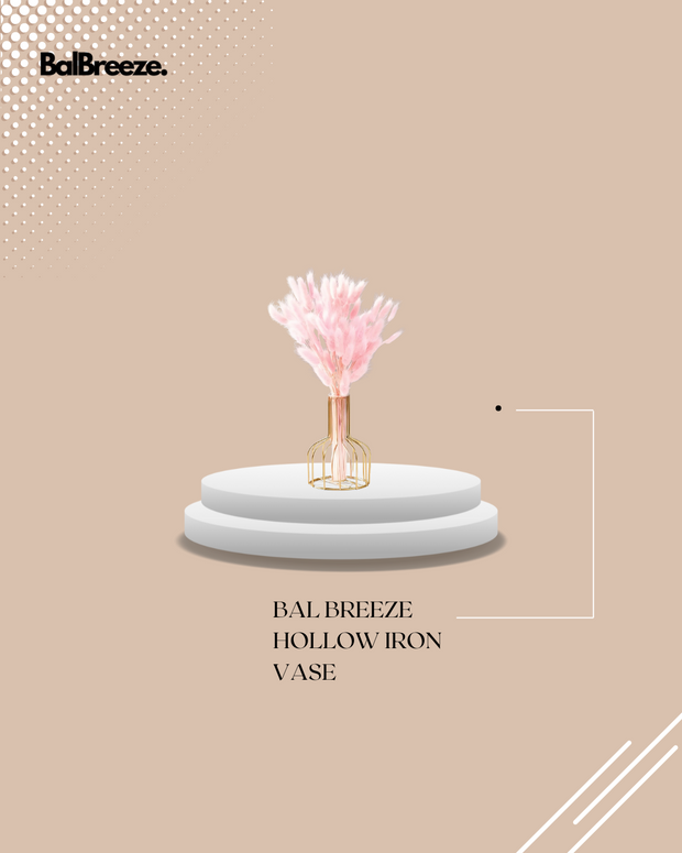 BalBreeze Hollow Iron Vase