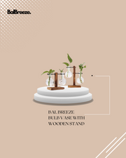 BalBreeze Bulb Vase with Wooden Stand