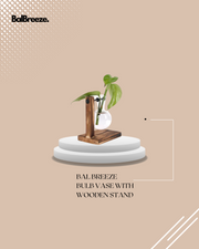 BalBreeze Bulb Vase with Wooden Stand